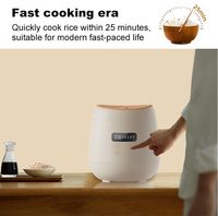 Appareils électroménagers de cuisine en gros 110V 2L Cuiseur à riz intelligent portable Multicuiseur électrique Multifonction Petit pot de cuisson