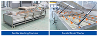 Industriële fruit- en groentewasmachine, sorteermachine voor radijs, wassenlijn voor wortelen, radijs sorteermachine op maat