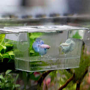 Caja de cría de aislamiento de peces de acuario para bebé <span class=keywords><strong>Guppy</strong></span> - Product Image 3