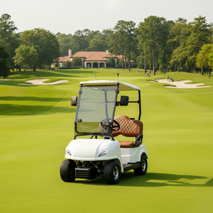 Carrito <span class=keywords><strong>de</strong></span> Golf <span class=keywords><strong>de</strong></span> Alta Calidad con Batería <span class=keywords><strong>de</strong></span> Litio y Aluminio para Dos Personas, 2 Asientos, Scooter <span class=keywords><strong>de</strong></span> Movilidad Profesional - Product Image 5