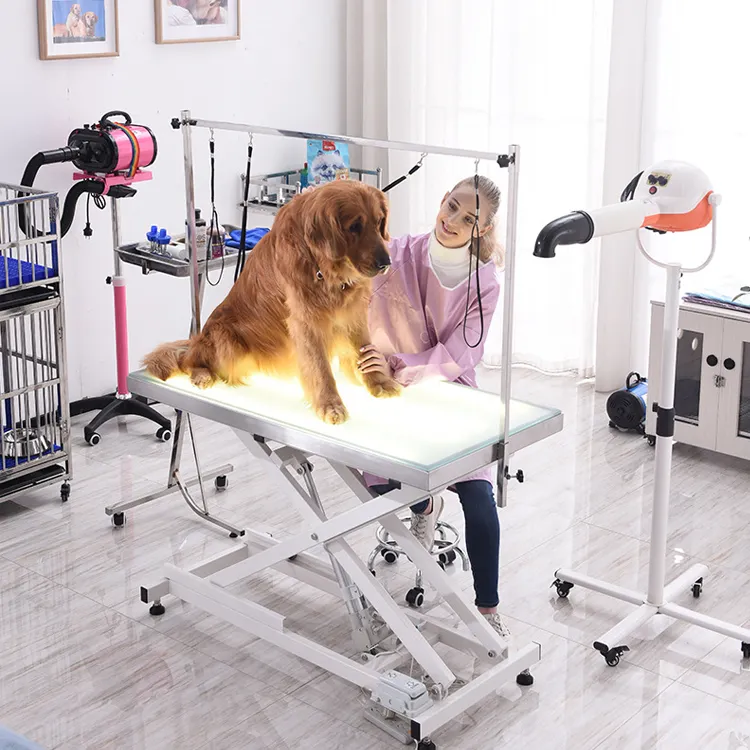 48 Inch Large Dog Hydraulic Pet Grooming Table Led Light X-lift Heavy-duty Stainless Steel Frame Electric Pet Dog Grooming Table