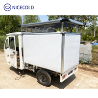 Tricycle électrique réfrigéré de haute qualité avec panneau solaire pour la chaîne du froid et le transport de marchandises congelées