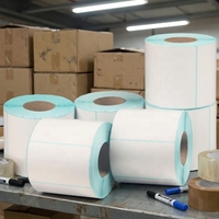 Papier autocollant thermique brillant résistant à l'huile et sensible à la chaleur Stanyoar, petit rouleau 80x60mm, usage industriel