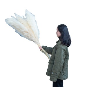 Arrangement de fleurs de bohème de haute qualité pampa sèche énorme herbe de roseau pour la décoration de mariage à la maison nouvel an - Product Image 6