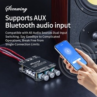 Module d'amplificateur BT YS-1002T 200W, 2 canaux 100W*2, stéréo Hi-Fi, avec réglage indépendant du volume des aigus et des basses pour haut-parleur DIY