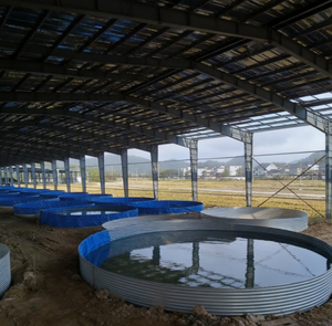 Longue durée de vie de réservoir de poissons plus de 15 ans - Product Image 1