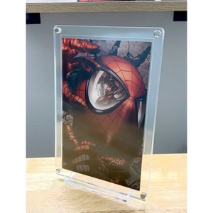 Vetrina <span class=keywords><strong>per</strong></span> <span class=keywords><strong>fumetti</strong></span> in acrilico magnetico con cornice Lucite di protezione UV - Product Image 3