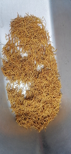 Lind xu प्राकृतिक कमल फूल के सहनशक्ति हर्ब और चाय के लिए मेघ और चाय के लिए - Product Image 4