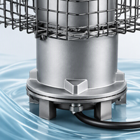 Pompe submersible à aimant permanent robuste 20HP 15kW 8 pouces à haut débit pour la prévention des inondations, le sauvetage et le drainage