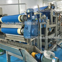 Industriële Sapcentrifuge Machine Fruitconcentraat Productielijn Appelpeer Ananas Riem Type Sapafzuiger
