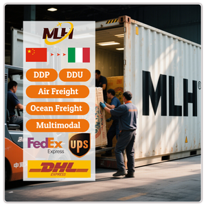 Spedizioniere professionale di logistica per la spedizione espressa in francia germania italia europa con consegna espressa aerea - Product Image 2