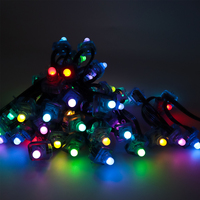 Guirlande lumineuse LED numérique RGB extérieure, étanche IP67, adressable individuellement, pour la décoration de Noël et des fêtes