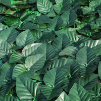 Accueil Balcon Clôture Extérieure Décoration Herbe Mur Plantes Étanche Cour Extérieure Clôture Verte