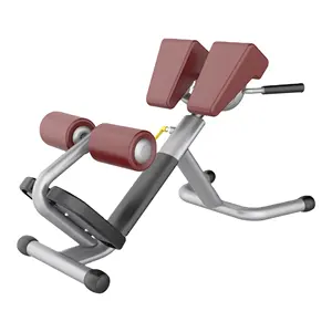 New Trending Products Commercial Exercise Bench Gym Fitness Equipment Back Extension Roman Chair for Sale