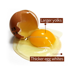 Non-GMO Organic Farm Premix Pullet Powder Feed 5% Green Layer <span class=keywords><strong>ISA</strong></span> <span class=keywords><strong>Brown</strong></span> Free-Range Feed Grade Aminoácidos - Product Image 5