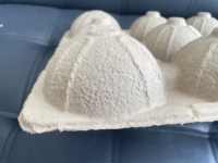 Biologisch afbreekbare composteerbare moderne gevormde pulp fruit schaal, papierpulp vormbak voor fruitverpakkingen
