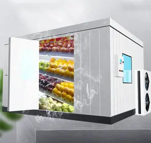 고기 해산물 쇠고기 닭 물고기를 위한 냉장고 찬 방에 있는 저장 도보에 있는 빠른 냉장고 도보