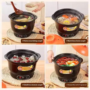 Marmite Électrique Populaire pour Soupe et Ragoût, avec Couvercle en Céramique, Multicuiseur Santé pour la Maison, Cocotte Électrique pour la Maison - Product Image 5