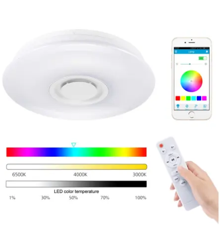 Nordic LED RGB Ceiling Light for Living Room Music Ceiling Lamp With WiFi Speaker Dimmable Home Decoration Bedroom Light