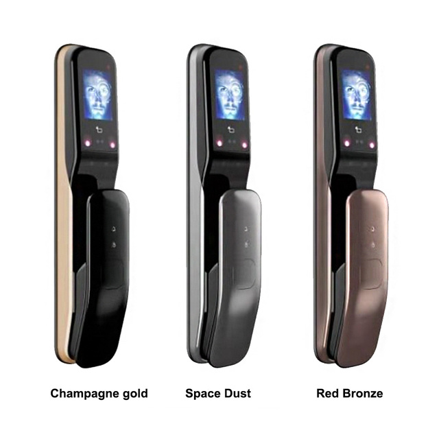 Fingerprint Card ID Card Voice Navigation Face Recognition Door Lock Remote Mobile Phone Unlock Alarm Automatic Door Smart Lock