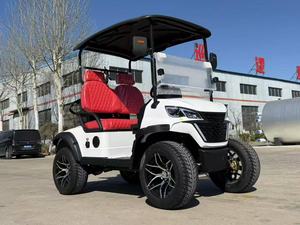 Vehículo Eléctrico Club Car con Motor de 5kw, Batería de 48v, 2 Plazas, Chasis de Aluminio, Buggy para Caza, Controlador Curtis, Certificado DOT y EEC - Product Image 2