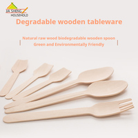 Ensemble de couverts jetables modernes en bois biodégradables et respectueux de l'environnement, cuillère et fourchette, pour gâteaux aux fruits