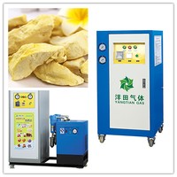 Generador de Gas Nitrógeno PSA Portátil, Pequeño y Mini, con Motor PLC, Ecológico, Certificado ISO, para Uso en Hospitales/Clínicas y Empaque de Alimentos, Nuevo 2025