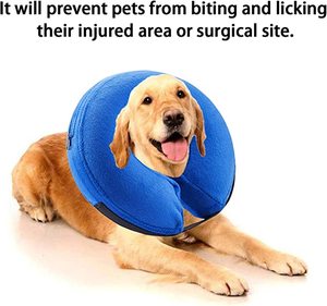 ราคาโรงงานพองนุ่มสบายทางเลือกสัตว์เลี้ยงกู้คืนปลอกคอสำหรับสุนัขและแมว - Product Image 5