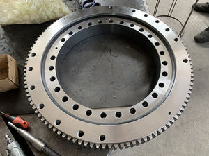 Dongyang 2037 Zwenklager Snelle Levering Kleine Kraan Gebruik Zwenkring - Product Image 6