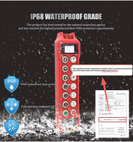Interruptor de Parada de Doble Velocidad a Prueba de Agua con 12 Botones, Interruptores de Llave Codificada de Plástico, Control Remoto RF para Polipasto Eléctrico