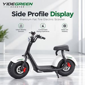 Brasilien Überseelager R1 Elektrischer Moped-Roller Großhandelslieferant 1000W 32km/h 200kg Maximallast - Product Image 4
