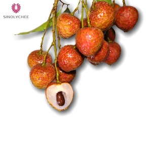 Chất Lượng Cao Cấp Nhập Khẩu Lớp 1 Tươi Vải Trái Cây Nhiệt đới Chất Lượng Lựa Chọn Cho Tiêu thụ Vải - Product Image 2