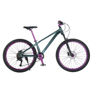 Vélo tout-terrain 26 pouces - Cadre en acier, suspension souple, 27 vitesses, freins à disque hydrauliques, absorption des chocs, léger, étanche - Product Image 3