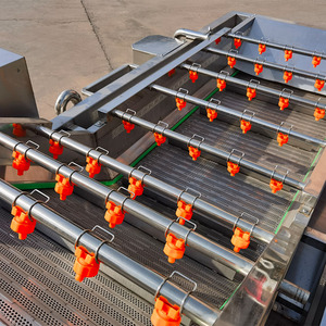 Fruit And Vegetable Processing Equipment Avocado Washing And <strong>Sorting</strong> <strong>Machine</strong> Vegetable Washing <strong>Machine</strong> - Product Image 3