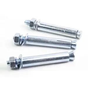 Stainless Steel 1/4' 5/16" Bolt Wall Sleeve Anchor Bolt Expansion Galvanized M10*100 Expansion Screws Anchor