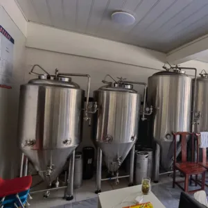 GHO 300L Cervecería Fermentadores con camisa Tanque de fermentación Cerveza Sistema de cervecería