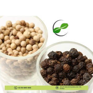 Agro Komoditi global de procesamiento crudo seco de pimienta blanca de Sulawesi de Indonesia trae calor picante refinado mejora el sabor - Product Image 4