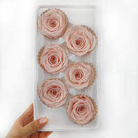 Groothandel 5-6 cm decoratieve eeuwige rozen, langdurig geconserveerde echte natuurlijke bloemknoppen