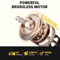 Vélo Électrique Pliant Naturun 1000W 48V 15Ah Sans Balais 7 Vitesses Capteur Numérique Pneus Larges Vélo Électronique Tout-Terrain Neige Ville Route