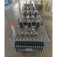 Transformador de Distribución Trifásico Sumergido en Aceite LEINENG de Bajo Precio para Centro de Datos