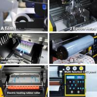 Eizoulyn-Imprimante UV DTF 2 en 1, rouleau à rouleau de 30cm, double imprimante XP600 A3, pour autocollant cristal