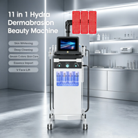 Appareil de rajeunissement cutané multifonctionnel 11 en 1 de bonne qualité, machine Hydro Aqua Peel, machine de soin du visage, machine d'hydrodermabrasion