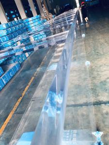 2025 Aquariumvissen Te Koop - Product Image 6