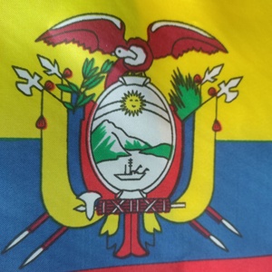 Mini-drapeaux à main <span class=keywords><strong>du</strong></span> Qatar pour la <span class=keywords><strong>Coupe</strong></span> <span class=keywords><strong>du</strong></span> <span class=keywords><strong>Monde</strong></span> de football, 32 équipes, avec bâton en PP et tissu polyester - Product Image 5