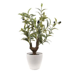 Offre Spéciale Oh Arts olivier artificiel <span class=keywords><strong>de</strong></span> haute qualité 55 cm <span class=keywords><strong>en</strong></span> Pot <span class=keywords><strong>en</strong></span> <span class=keywords><strong>osier</strong></span> plantes vertes arbre <span class=keywords><strong>de</strong></span> Simulation pour la décoration <span class=keywords><strong>de</strong></span> jardin à la maison - Product Image 2