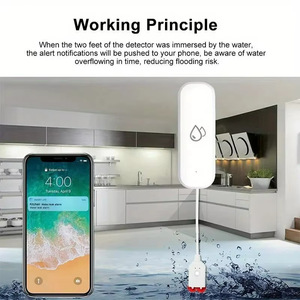 Tuya Wifi Thông Minh Phát Hiện Rò Rỉ Nước Với Mức Độ Báo Động Cho Nhà Bếp Phòng Khách Ống Nước Rò Rỉ Cảm Biến Nhà Thông Minh Sản Phẩm - Product Image 4
