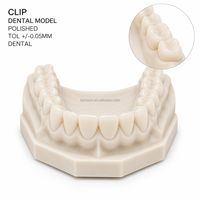 Modelo Dental de Resina Biocompatible Impreso en 3D CLIP, Producción de Interfaz Líquida Continua de Alta Precisión, Laboratorio Dental Personalizado OEM