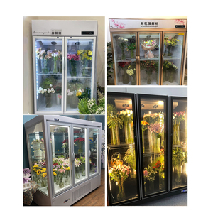 Venta Directa de Fábrica, Refrigeración para Floristería, Vitrina Refrigerada Comercial para Flores - Product Image 2