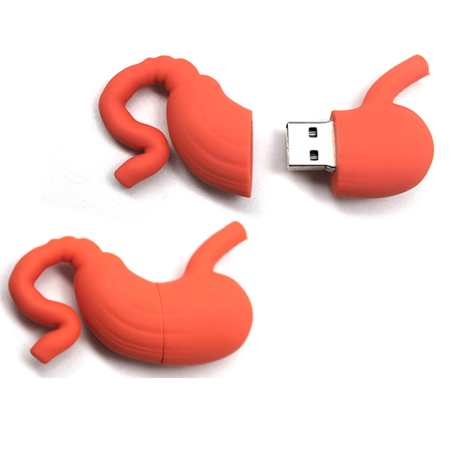 Custom Organ Shaped USB Flash Drive  Medical Stomach Model Pendrive  for Pharmaceutical & Healthcare Promotions