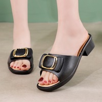 Sandalias de Moda Personalizadas para Mujer, Nuevas, Antideslizantes, de Verano, Punta Abierta, Suela Gruesa y Suave, con Tacón Alto y Lazo, para Primavera y Otoño